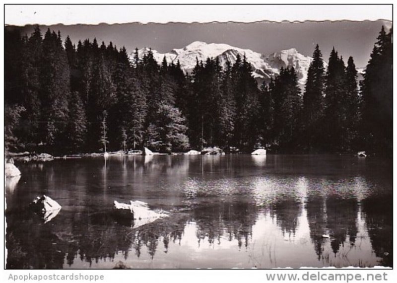 France Plateau D'Assy Le Lac Vert et le Mont Blanc Photo