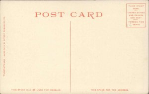 Bluff Point NY Library Champlain Hotel #10926 c1910 Detroit Publishing Postcard