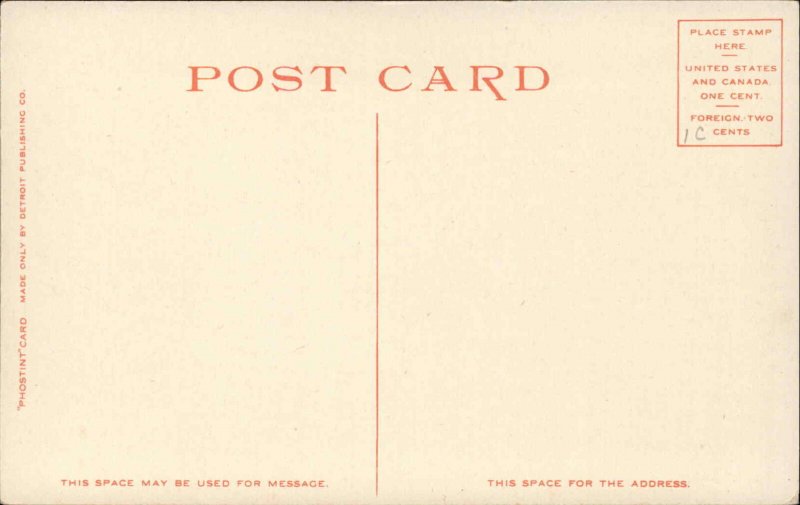 Bluff Point NY Library Champlain Hotel #10926 c1910 Detroit Publishing Postcard