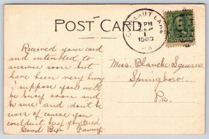 Conneaut Lake Pennsylvania~Stock Farm~Wind Vane~1908 B&W Postcard