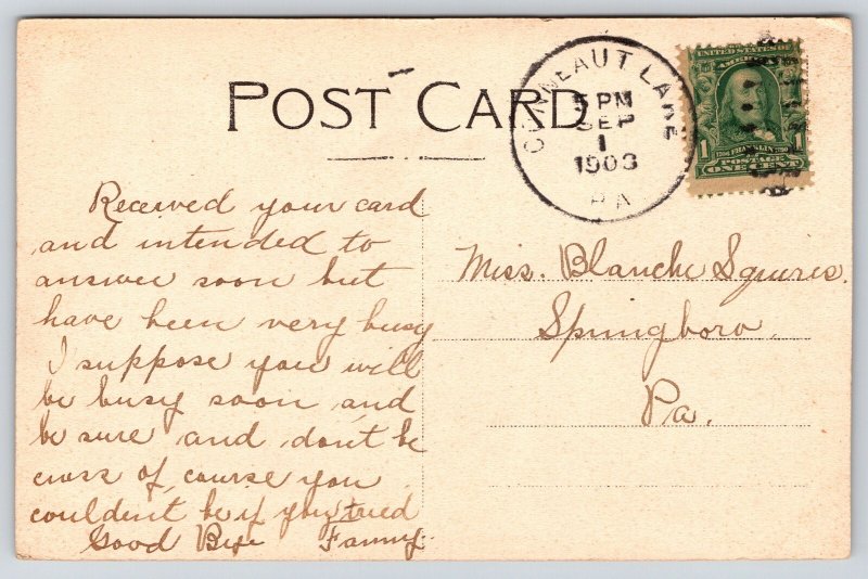 Conneaut Lake Pennsylvania~Stock Farm~Wind Vane~1908 B&W Postcard