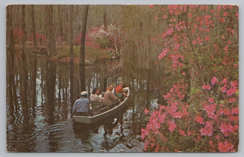 Charleston South Carolina~Cypress Gardens~Men On Boat~Vintage Postcard