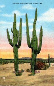 Cactus Giant Sahuaro Cactus On The Desert