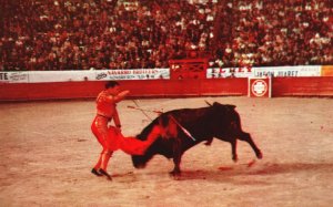 View of The Kill Juarez Bull Ring Fighter Old Mexico MX Vintage Postcard