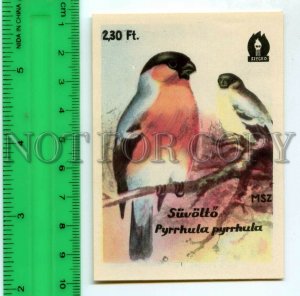 500284 HUNGARY Bird Purrhula Purrhula Vintage match label