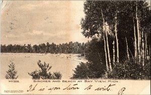 Birches and Beach at Bay View MI Undivided Back c1906 Vintage Postcard G47