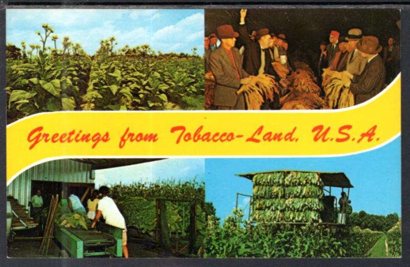 Greetings From Tobacco Land USA