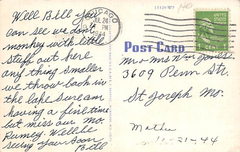 Comic Gages Lake, Illinois USA View Postcard Backing 