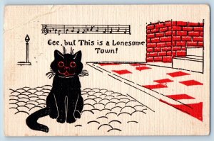 St. Paul MN Postcard Black Cat Kitten Gee But This Is A Lonesome Town 1911