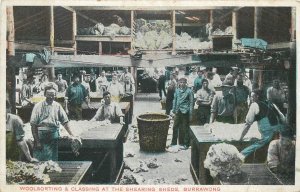 Australia woolsorting & classing at the Shearing Sheds Burrawong manufactory