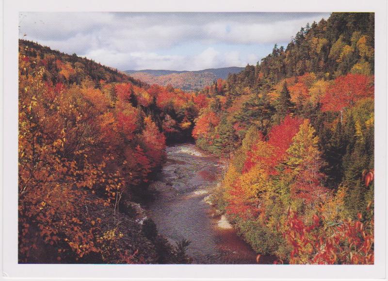 FALL COLOURS IN TALBOT VALE, NOVA SCOTIA