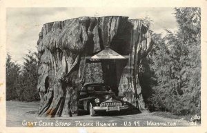 RPPC Giant Cedar Stump, Pacific Highway, US 99 WA Ellis c1940s Vintage Postcard