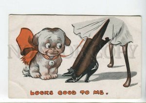 438589 SPURGIN BOW-WOW Smiling FRENCH BULLDOG Puppy Dog Vintage postcard #480