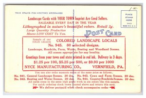 Generic Scenic Greetings Your Town And State Dealer Card UNP Linen Postcard M20