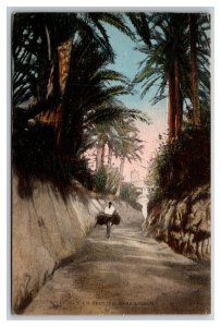 Un Setier Trail  dans l'Oasis Tunisia  UNP DB Postcard Q25