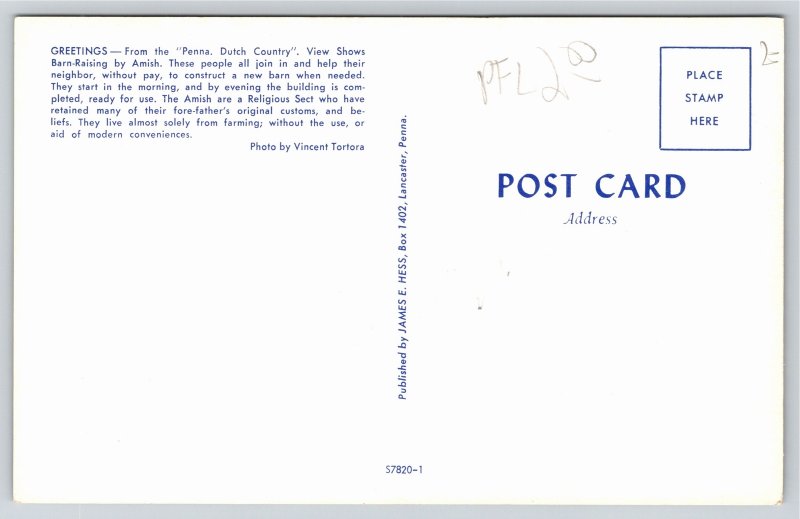 Lancaster Pennsylvania~Dutch Country~Amish Barn Raising~Vintage Postcard