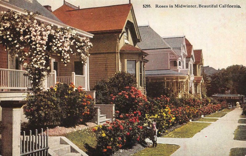 Roses in Midwinter, Beautiful California Victorian Homes c1910s Vintage Postcard