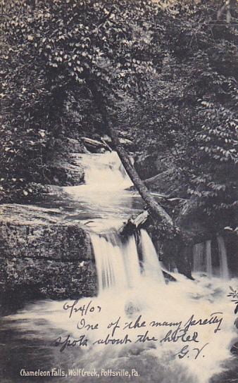 Chameleon Falls Wolf Creek Pottsville Pennsylvania Rotograph 1907