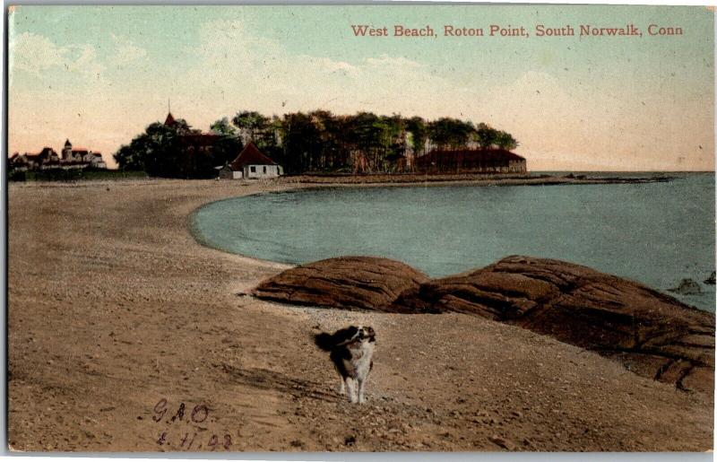 Dog on West Beach, Roton Point, South Norwalk CT Vintage Postcard P14