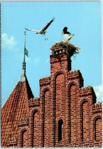 M-24039 Stork's Nest Ribe Denmark