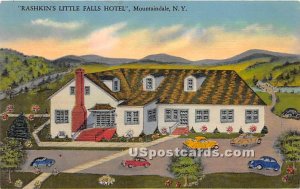 Rashkin's Little Falls Hotel - Mountaindale, New York NY  