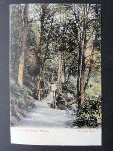 Conwy COLWYN BAY In Pwllycrochan Woods c1908 Postcard by Woolstone Bros 135