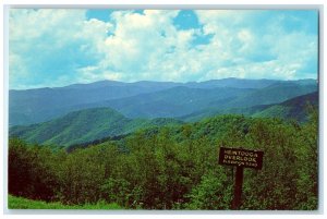 c1960's Heintooga Overlook Great Smoky Mountains Cherokee NC Unposted Postcard