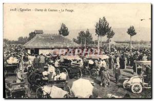 Old Postcard Horse Riding Equestrian Cavaillon Racetrack Le weighing TOP