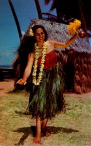 Hawaii Beautiful Hula Dancer