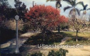 Anaheim City Park - California CA  