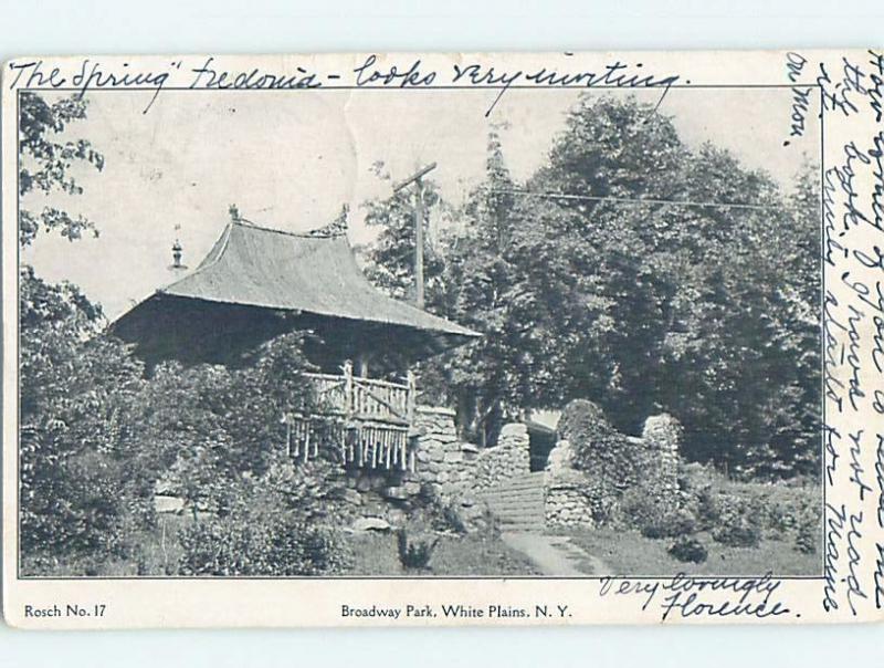 Pre-1907 PARK SCENE White Plains New York NY hp9598