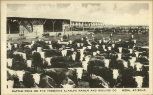 Mesa AZ Cattle Pens Tremaine Alfalfa Ranch & Milling Co c1915 Postcard