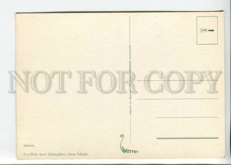 441995 Denmark Faroe Islands Excellent sport fishing place Old postcard