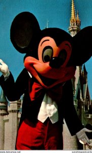 Florida Walt Disney World Mickey Mouse