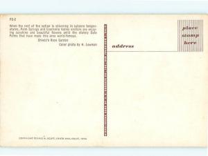 Vintage Post Card Palm Springs Coachella Valley Date Palms  CA  # 4717