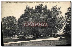 Old Postcard Saint Honore Les Bains Park From I & # 39Etablissement Large oaks