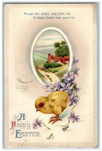 1911 Happy Easter Chicks Purple Flowers Clapsaddle Streator IL Embossed Postcard