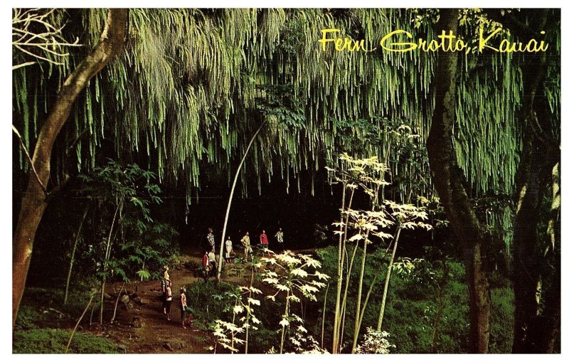 Kauai's Fern Grotto When People Could Walk Inside Hawaii Postcard 1968