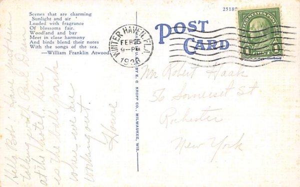 Flame Vine Around Winter Haven Athletic Field Florida  