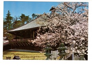 Cultural Properties, Nigatsudo Temple, Todaiji Temple, Japan, Cherry Tree