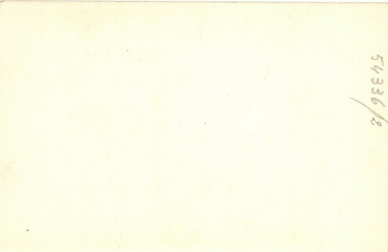 PC DISNEY, DONALD DUCK, HUEY, DEWEY AND LOUIE DUCK, Vintage Postcard (b27852)