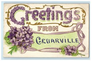 1910 Greetings from Cedarville New Jersey NJ Purple Floral Postcard