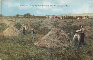 c1910 Hamilton Montana occupation agriculture Roberts Postcard 25-12275