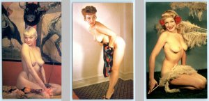 3 Postcards Vintage Classic Pin-ups RISQUE, NUDES #219, #273, #244