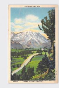 VINTAGE POSTCARD NATIONAL STATE PARK RAINIER HIGHWAY LEADING TO SUNRISE #1