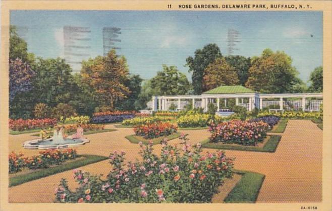 New York Buffalo Rose Gardens In Delaware Park 1946 Curteich