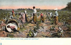 Black Americana, Tuck Publ, ....In the Land of  Cotton, Old Postcard 