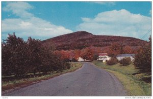 Entrance Road to Apple Orchard, The Kingdom of the Apple, Rougemont, Quebec, ...