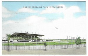 Linen postcard, the Mile High Kennel Club Track, Denver, Colorado 