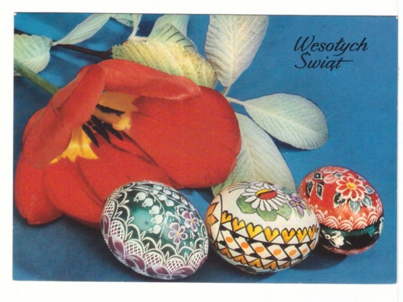 Wesotych Swiat, Merry Christmas, Painted Eggs, Tulip, Chrome Polish Postcard